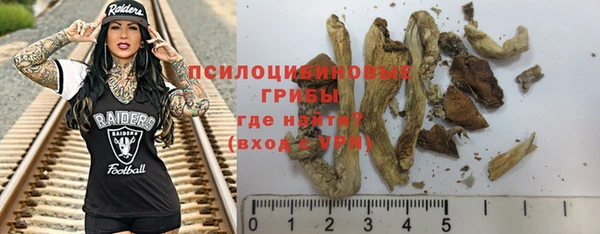 дживик Липки