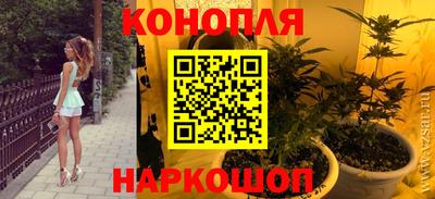 Альфа ПВП Можайск