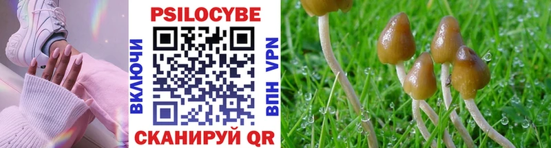 Галлюциногенные грибы ЛСД Чайковский