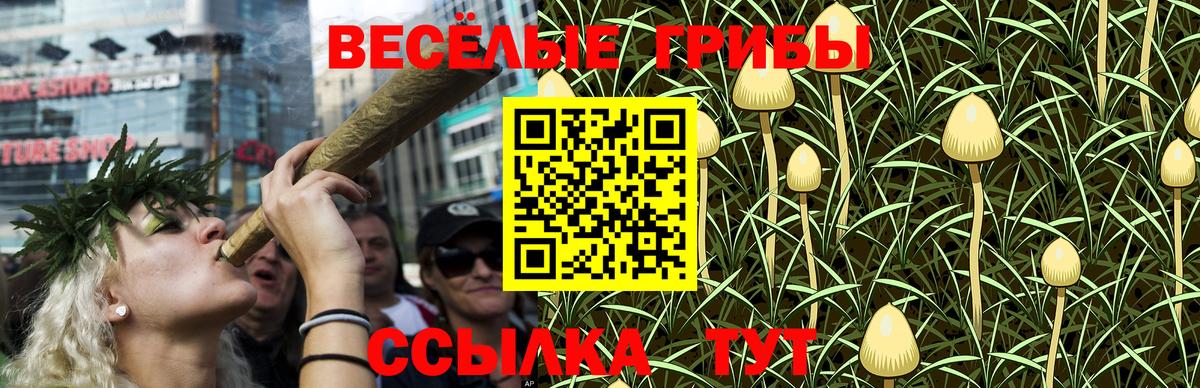 Галлюциногенные грибы GOLDEN TEACHER  продажа наркотиков  Чайковский  Галлюциногенные грибы GOLDEN TEACHER 