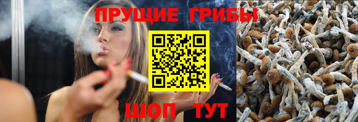 Псилоцибиновые грибы MAGIC MUSHROOMS Чайковский