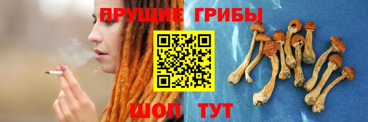 Псилоцибиновые грибы GOLDEN TEACHER  Вход с VPN  Чайковский 